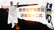 太极拳初学入门视频  陈思坦四十二式太极拳