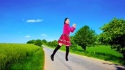 玫香广场舞跟音乐动起来《八戒八戒 》DJ何鹏动感时尚下载