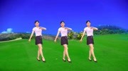 玫香广场舞跟音乐动起来《只为遇见你》醉人情歌 演唱 崔伟立下载