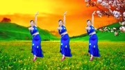 玫香广场舞跟音乐动起来《小小新娘花》云菲菲演唱民族风情下载