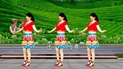 糖豆广场舞视频大全集mp4免费下载《阿么阿么》完整版一看就会下载
