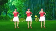 玫香广场舞全部视频mp4免费下载《情焰》入门基础32步抖音热门广场舞下载