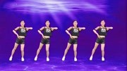玫香广场舞跟音乐动起来《情深几许》DJ活力广场舞正反面演示下载