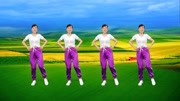 玫香广场舞舞曲下载mp4免费下载《神奇抖音》弹跳36步广场舞DJ版下载