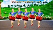 广场舞教学视频分解慢动作《回到山沟沟》陕
