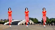 广场舞教学视频免费下载mp4《痛痛快快醉一