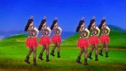 玫香广场舞舞曲下载mp4免费下载《浏阳河》背面演示下载