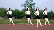 自学广场舞视频教程mp4免费下载《情怕入心爱怕入骨》全网最火32步舞醉人好看下载