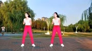 广场舞教学视频免费下载《我不后悔DJ》劲爆