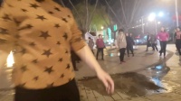 舞灵美娜子广场舞《布尔津情歌》夜舞版新手
