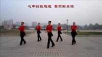 云裳最新广场舞发布《我的玫瑰卓玛拉》廖弟老师原创藏族舞 云裳团队出品下载