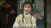 庐剧下载视频下载《张天秀私访》下集 主演 魏小波 汪莉下载