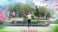 云裳广场舞2020年新舞《姑娘追》沚水老师原创好看大众广场舞 清香百合版下载