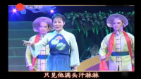 最好听的沪剧名段《卖红菱》 名家肖国华 施