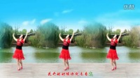 金灿灿广场舞《花开的时候你就来看我》初学广场舞一步一步教慢动作下载
