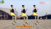青青世界广场舞《灵灵》0 基础学广场舞步法下载