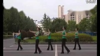 吉美广场舞《美丽的草原我的家》初学广场舞一步一步教下载