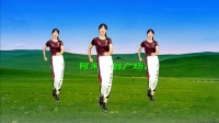 阿采广场舞教学《当你吻上别人的唇》简单瘦腰瘦肚子减肥广场舞下载