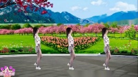 动动广场舞舞曲大全《花蝴蝶飞》 背面 适合年轻人广场舞视频下载