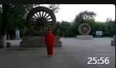 传统杨氏85式太极拳拳谱带方向 王保琴演练mp4免费下载下载