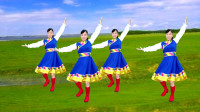 玫香广场舞《想西藏》正面附教学初学者广场舞视频教程下载