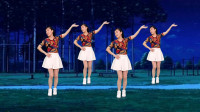 玫香广场舞《姑娘嫁给我吧》正面演示初学广场舞一步一步教下载