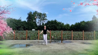 云裳广场舞大全视频大全集《爱爱爱》云裳老师原创零基础弹跳步 花非花演示版下载