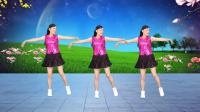 玫香广场舞《风中的花蝴蝶》DJ版32步附教学视频mp4免费下载下载