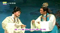 越剧下载免费mp4《红楼梦想当初》名家赵志刚  陶琪演唱 好看好听下载
