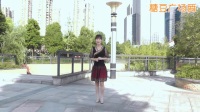 糖豆广场舞2020年新舞《水月亮》民族舞分解教学下载