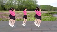 玫香广场舞《情歌里的你》32步附教学2020年最火的广场舞下载