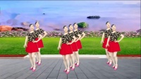 玫香广场舞《酒醉的胡蝶》32步附教学2020年最火的广场舞下载
