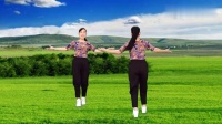 玫香广场舞《对面的小姐姐》对跳附教学2020年最火的广场舞下载