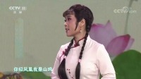 十大好听黄梅戏《啼笑因缘》经典选段 张伟 林蜜蜜演唱下载