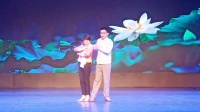 黄梅戏视频免费下载网站《远去的差距》演唱 郑芳 施兴华下载