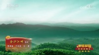 评剧下载视频下载《金沙江畔》经典选段 于