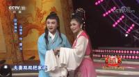黄梅戏视频下载免费《天仙配》选段 冯晓泉 曾格格跨界演唱精彩至极下载