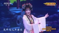 锡剧《双珠凤》经典选段高清视频mp4免费下载  董云华演唱 唱腔婉转好听不容错过下载