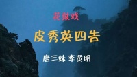 花鼓戏下载免费视频观看《皮秀英四告》主演