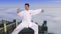 柴云龙精读24式太极拳 演练全套动作 视频在