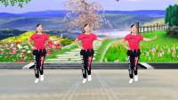 玫香广场舞《想妈妈》歌声优美动听简单好看附分解下载