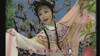 锡剧视频mp4免费下载《庵堂相会今日清明雨