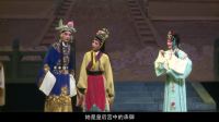 淮剧大全淮剧全场视频免费下载《狸猫换太子》 主演 刘亚军 张泠等下载