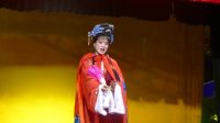 邵阳花鼓戏全集mp4下载免费《四姐下凡》 主演 覃名发 杨凤云下载