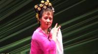 评剧mp4免费下载网《换招牌》高清版
