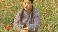 沂蒙小调全集大全下载 《 春香传3》视频mp4免费下载下载