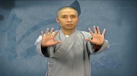 健身气功 少林易筋经（小鸟交响乐）视频mp4免费