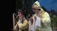 粤剧下载免费mp4下载《再世红梅记》之折梅巧遇  主演 林颖施 王志良下载
