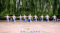 云裳广场舞《独爱一枝花》背面慢动作演示和分解 好学又简单下载