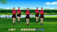 玫香广场舞原创《亲爱的你在哪里》附正背面教学下载